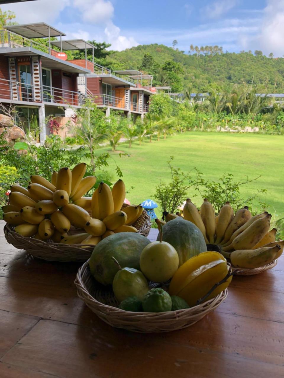 Baan Boom Boxes Eco Friendly Resort Маенам Экстерьер фото